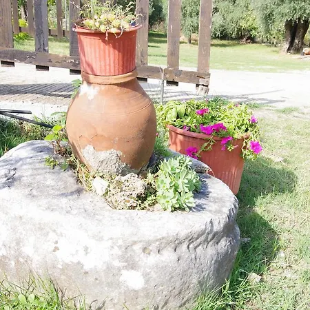 Athina Villa *