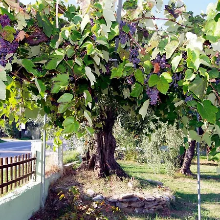 Athina Villa Koinira